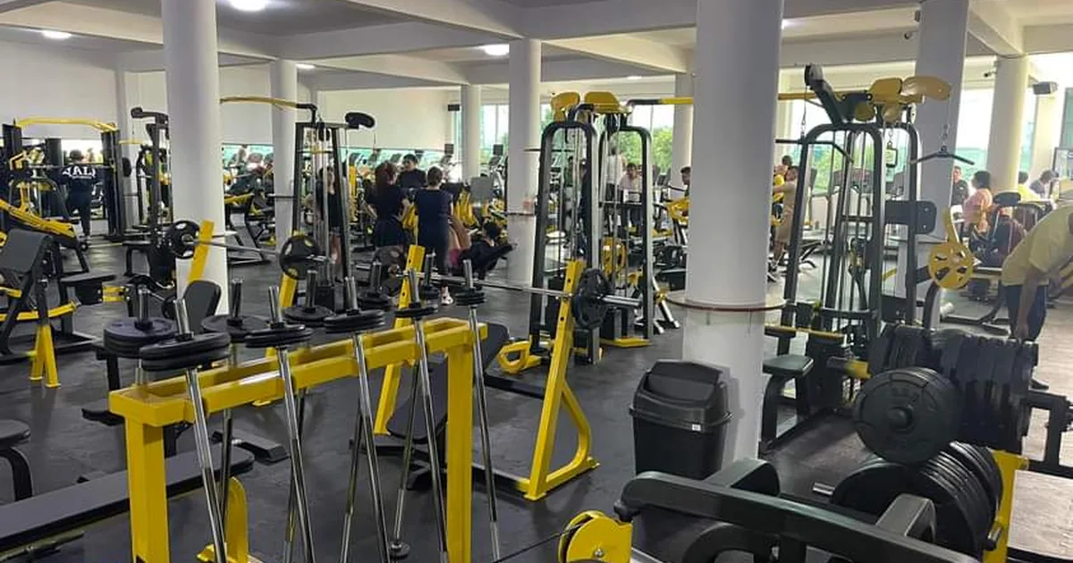 TM GYM Transformación Muscular