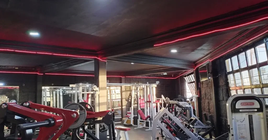 Gym Ab ATHLETIC BULKING