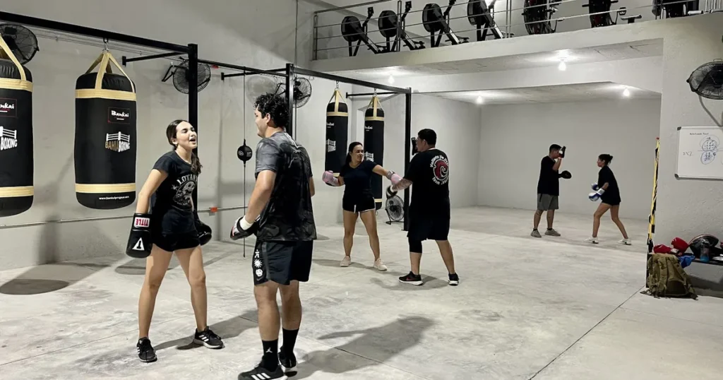 Bahia Boxing
