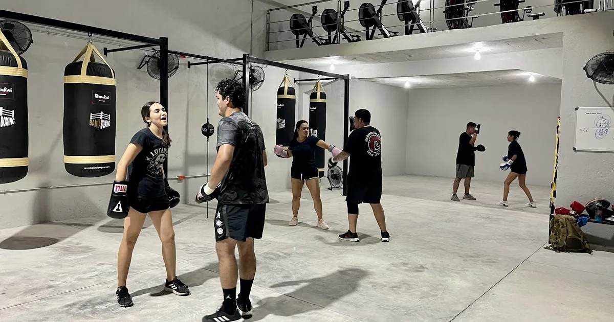 Bahia Boxing