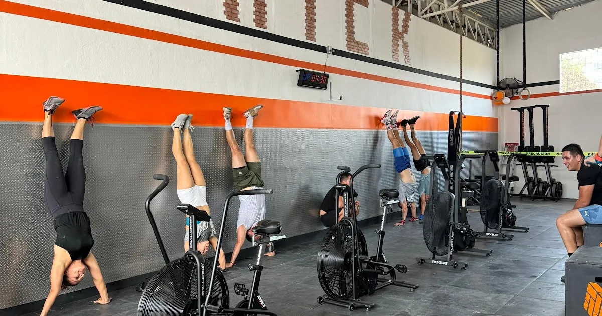 BRICK BAHIA CROSSFIT