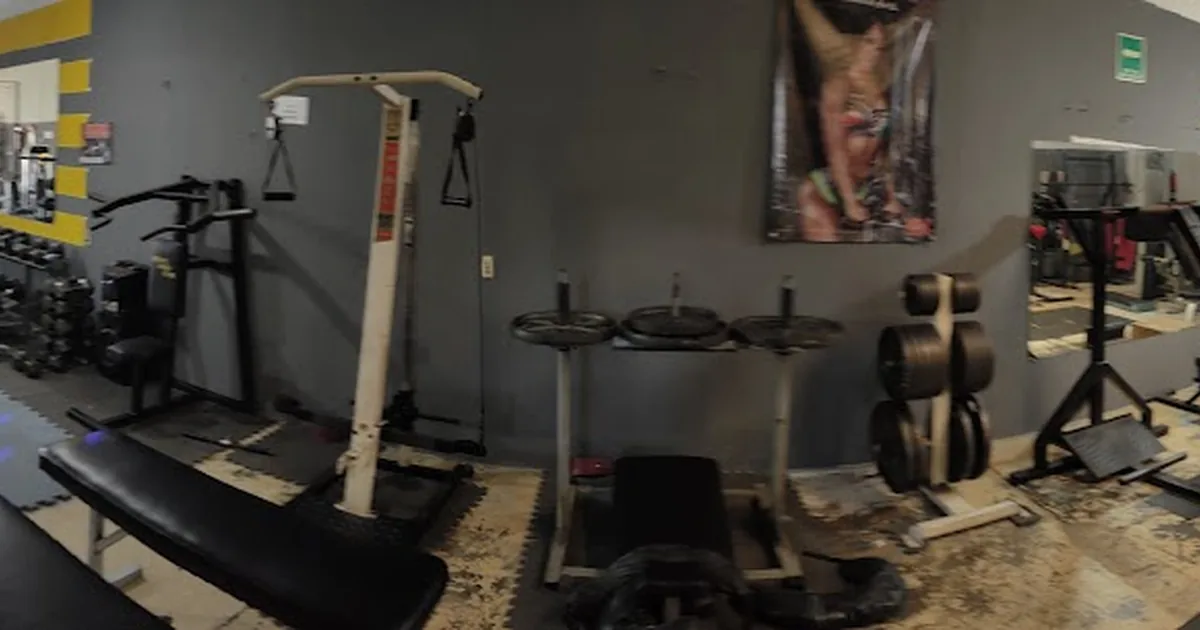 Gimnasio Wolfgym