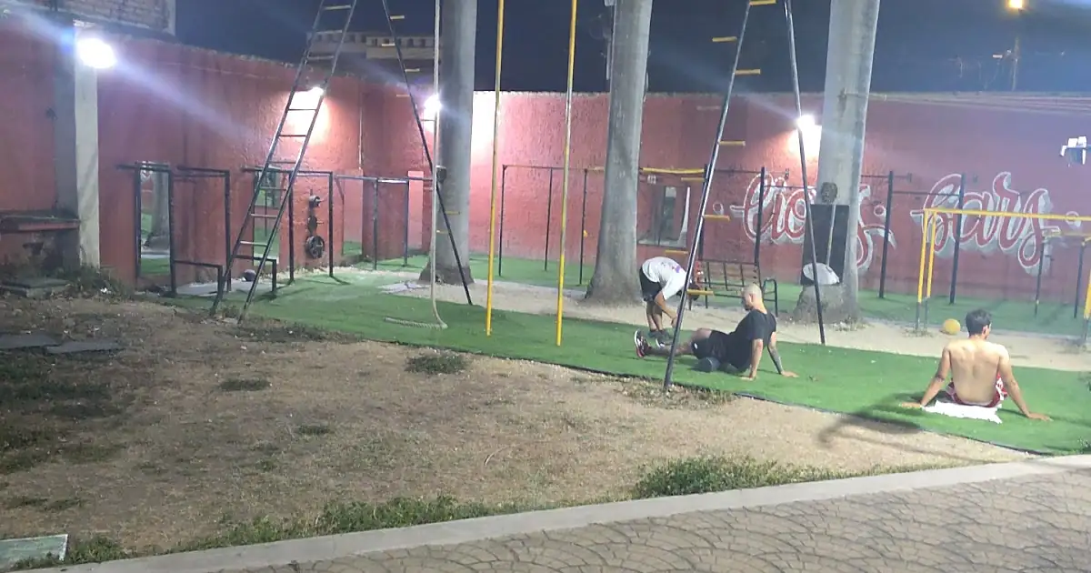 Lionsbarsclub – gimnasio de calistenia