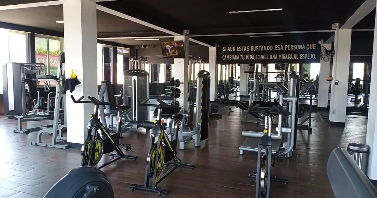 Vip Tkd y gimnasio
