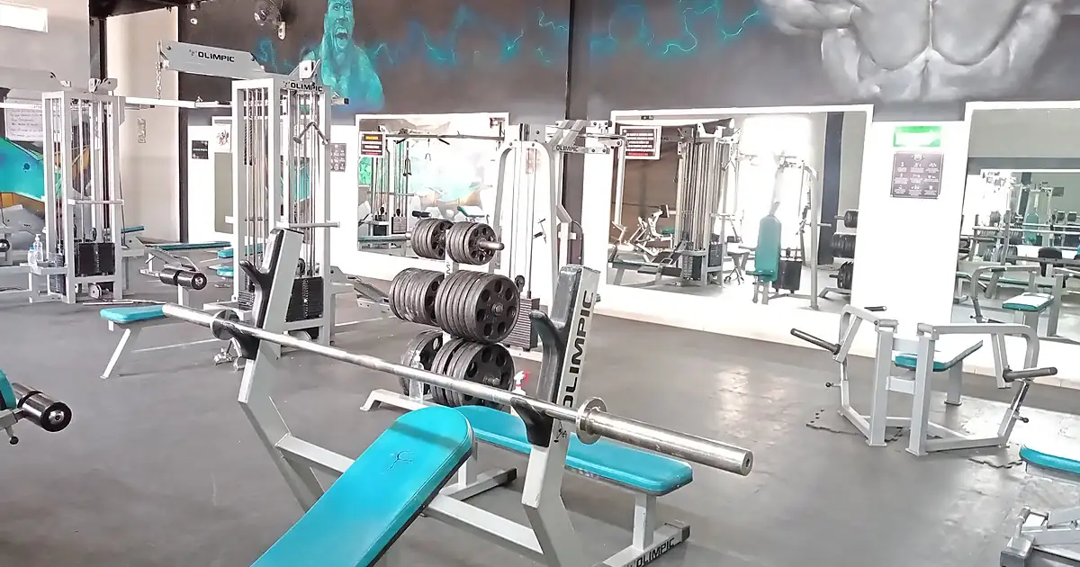 MUSCLE GYM