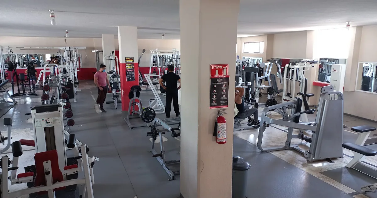 Iron Gym Constituyentes