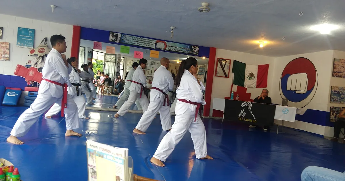 GIMNASIO POWDER GYM Y Escuela Profesional De Taekwondo