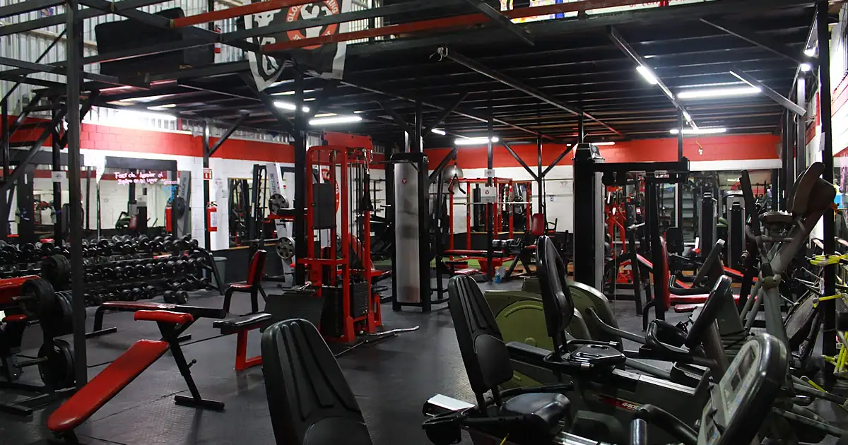 Global Training