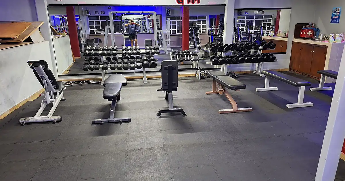 Vikingos gym Querétaro