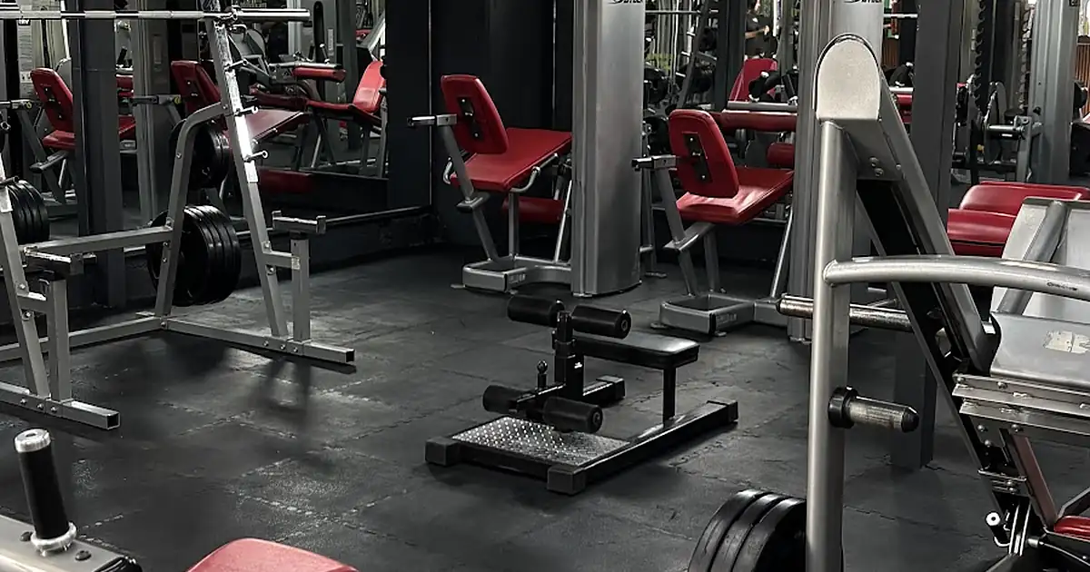 Iron gym corregidora