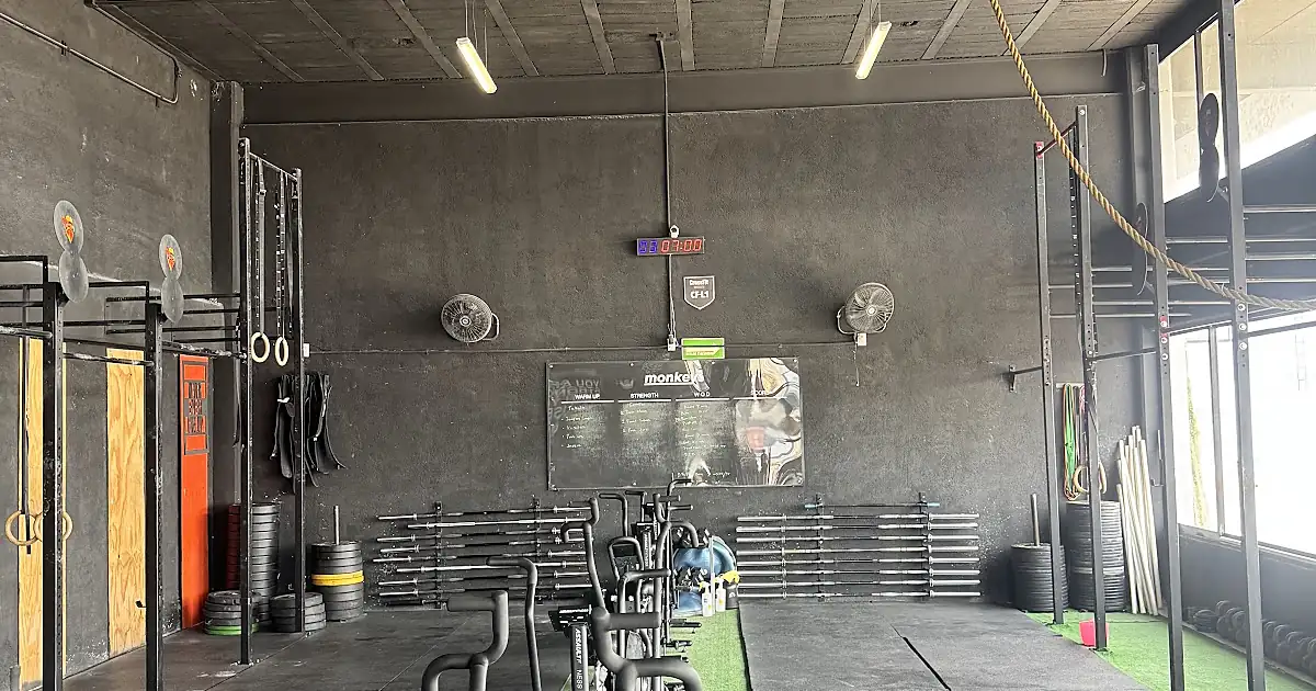 Monkey fitness