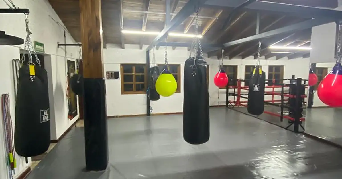 La tribe boxing club