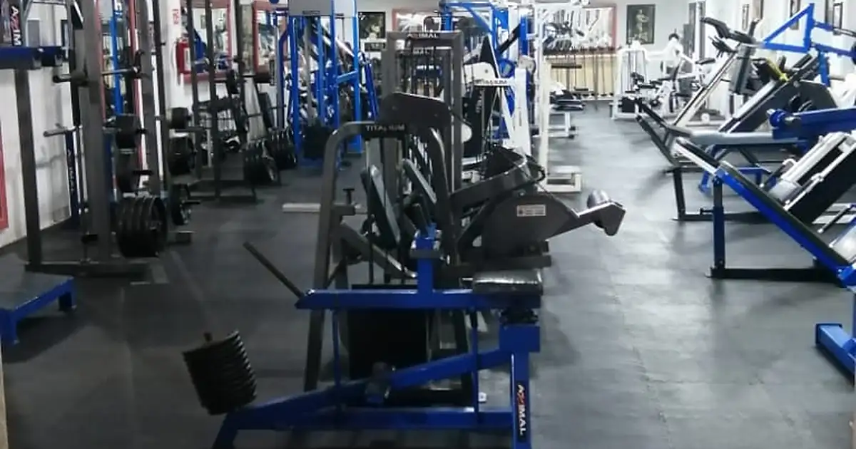 Animal Gym