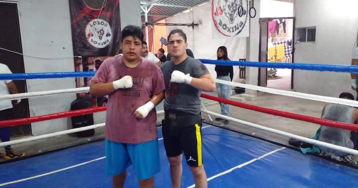 Lobos Boxing