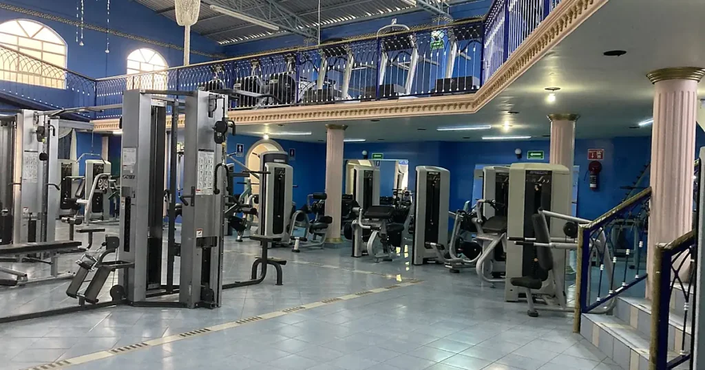 Zeus Gym