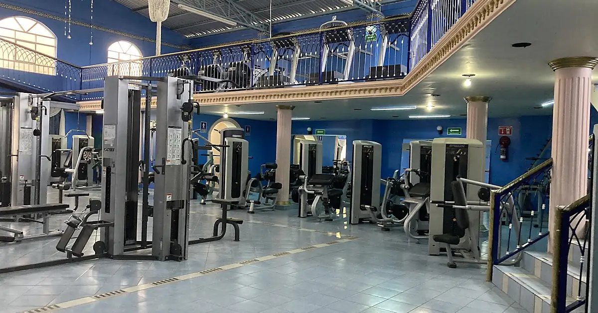 Zeus Gym