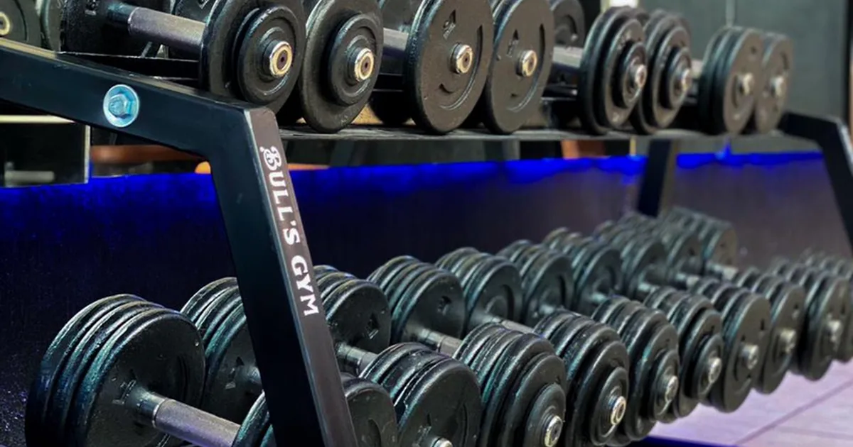 Bull Gym