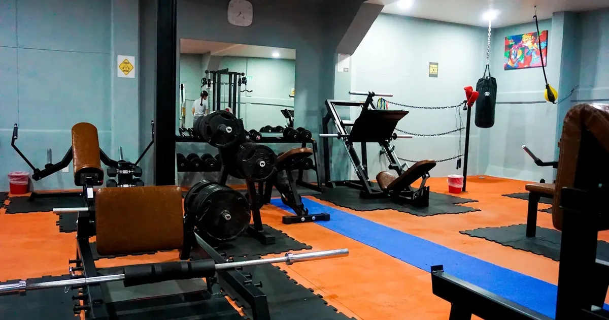 ProGYM -SS+