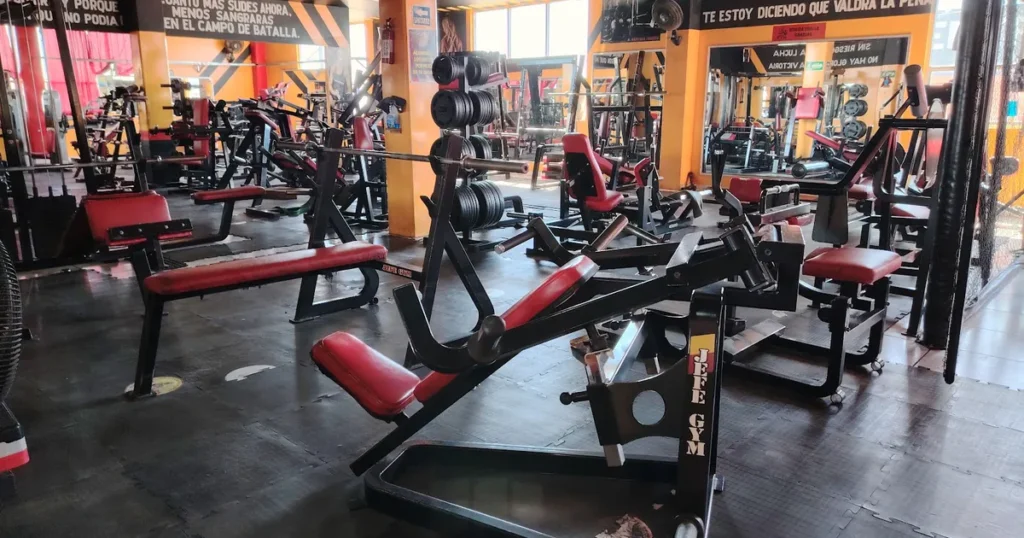 JEFE GYM