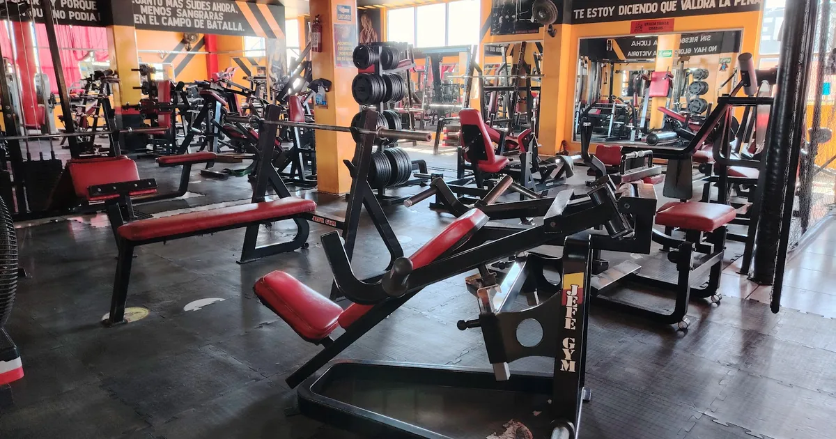 JEFE GYM