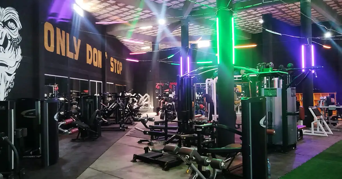 GORILAZ GYM