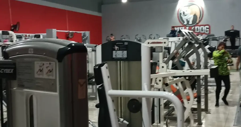 Bull & Dog Gym