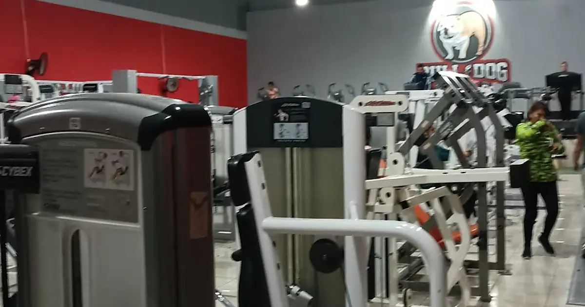 Bull & Dog Gym