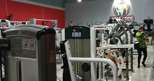 Bull & Dog Gym, gimnasio en Guadalupe, Zacatecas
