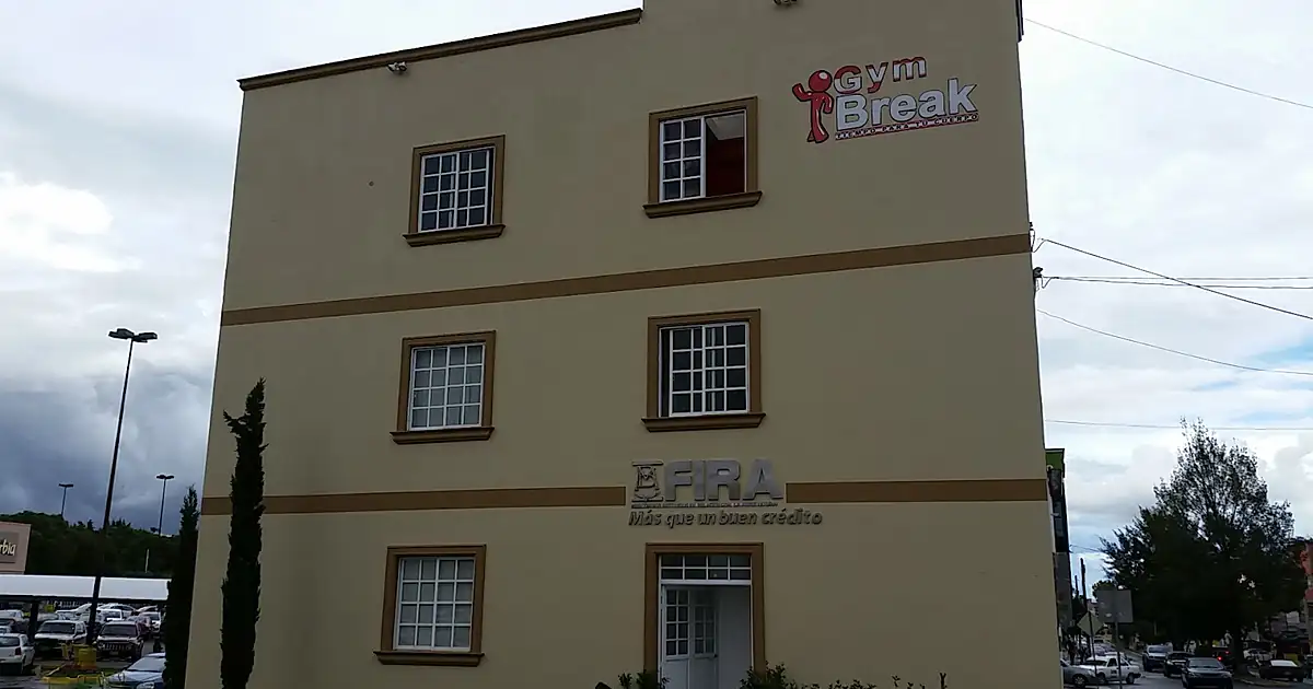 Gym Brake