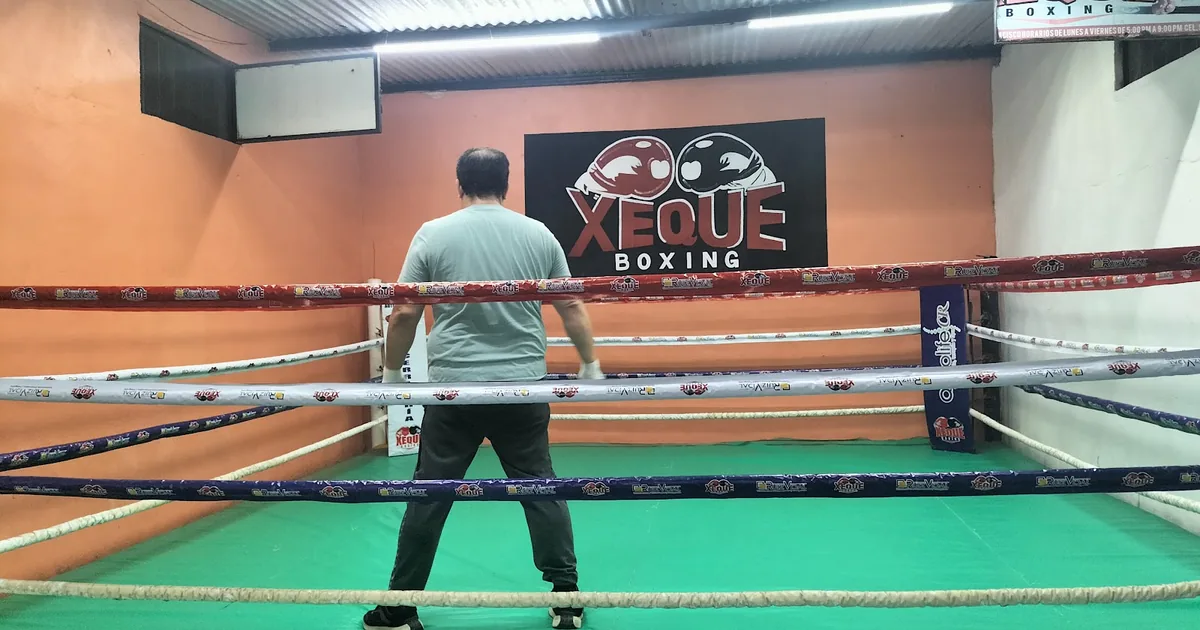 XEQUE GYM BOXING