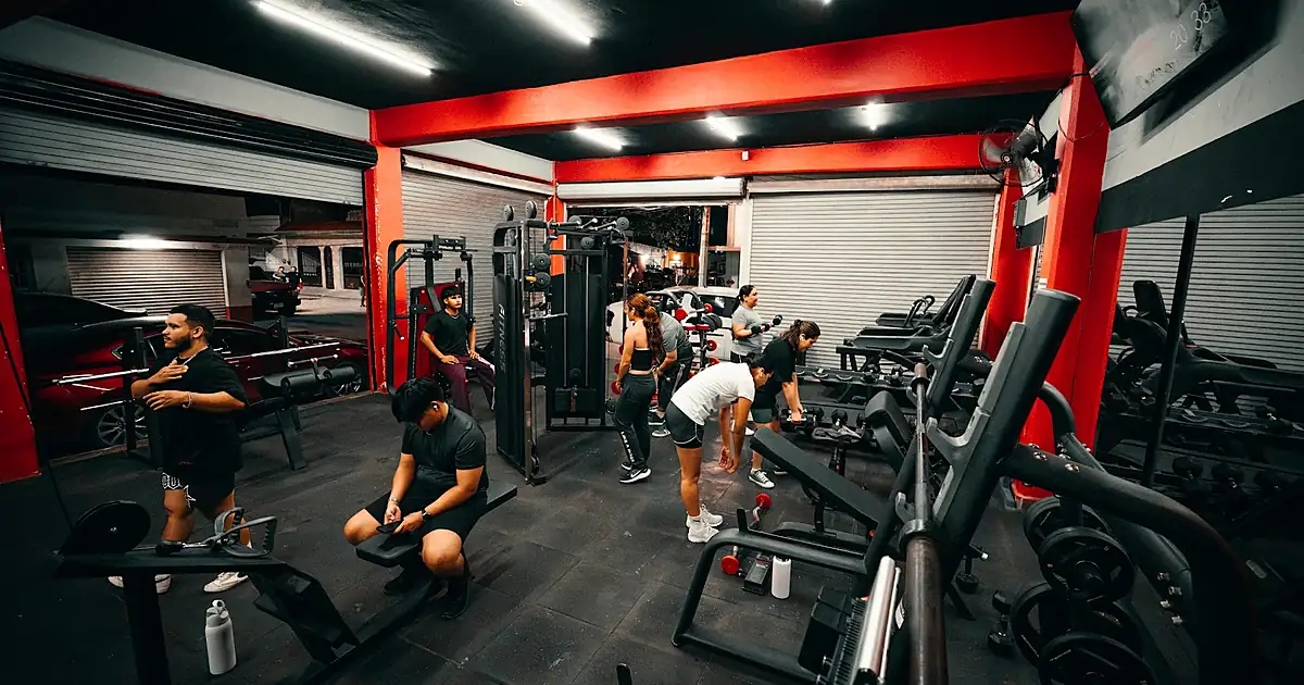 Al Fallo Gym