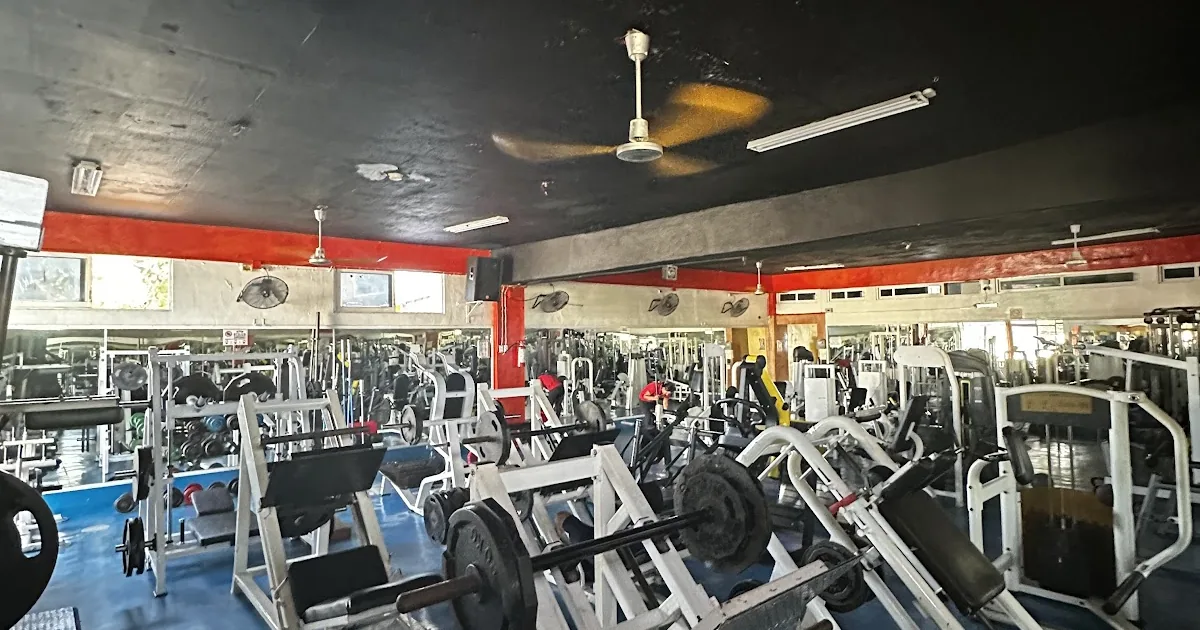Charly’s Gym