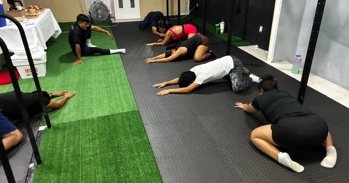 GIMNASIO DE CALISTENIA Simple Movement