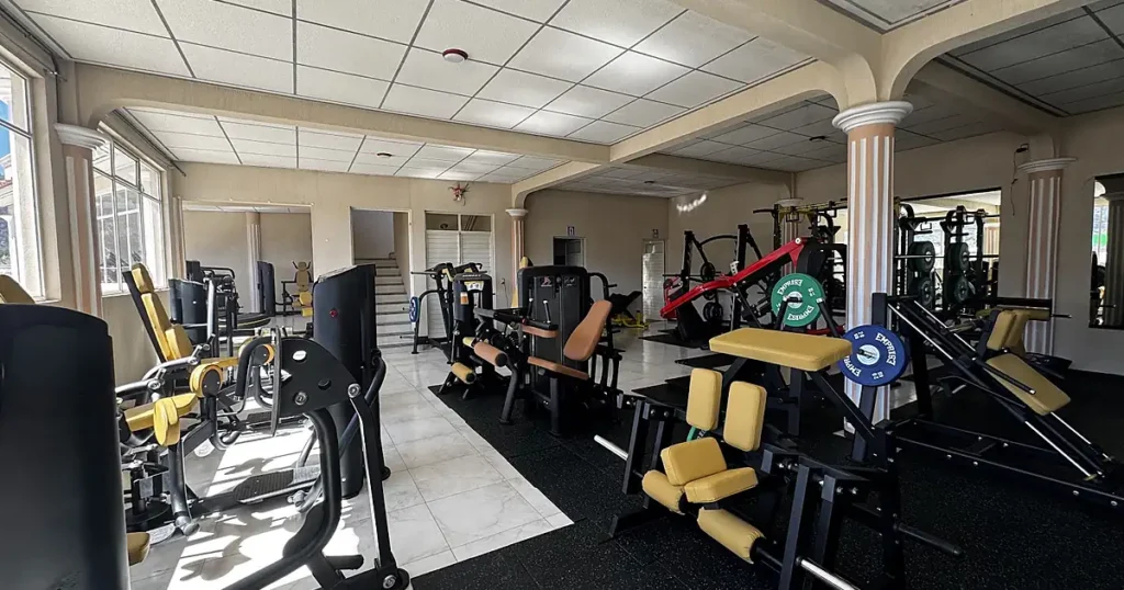 F1 Gym