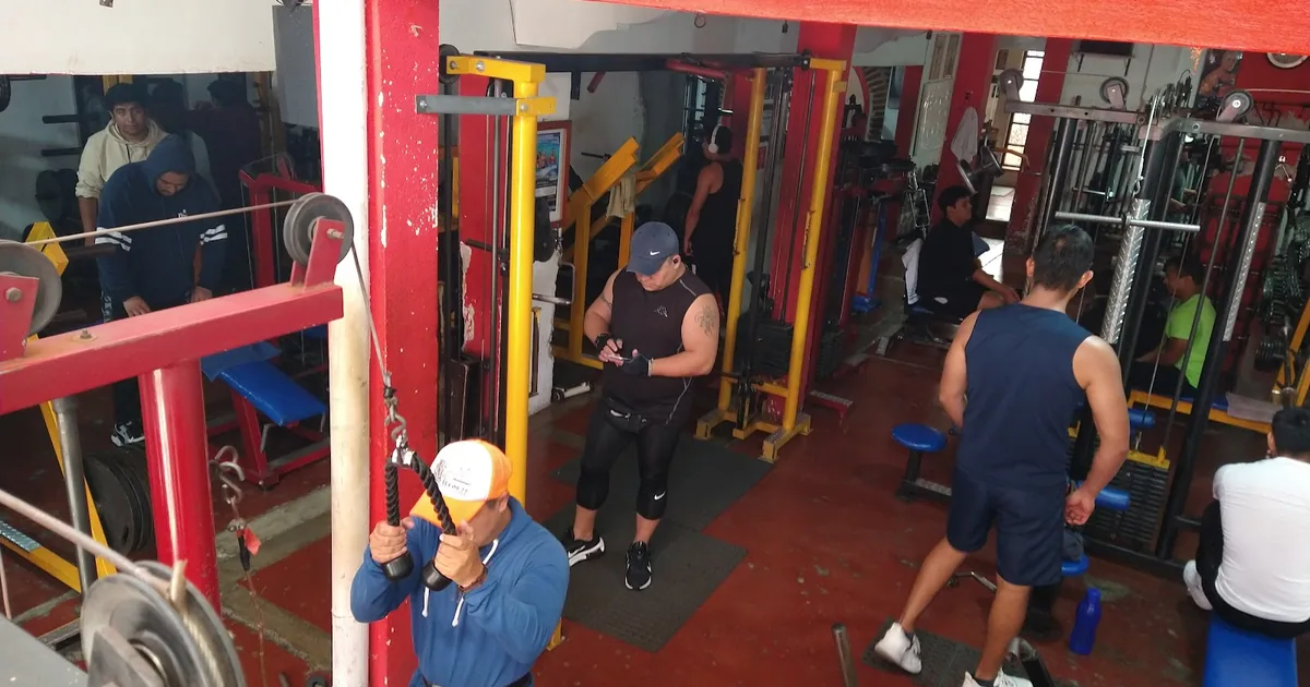 Gym Apolo