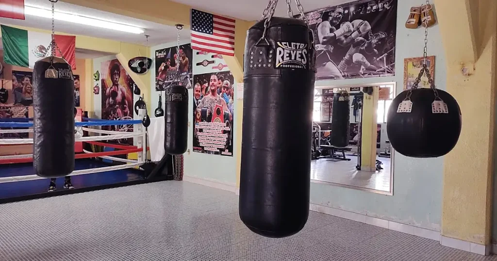 Partiganos Boxing Gym