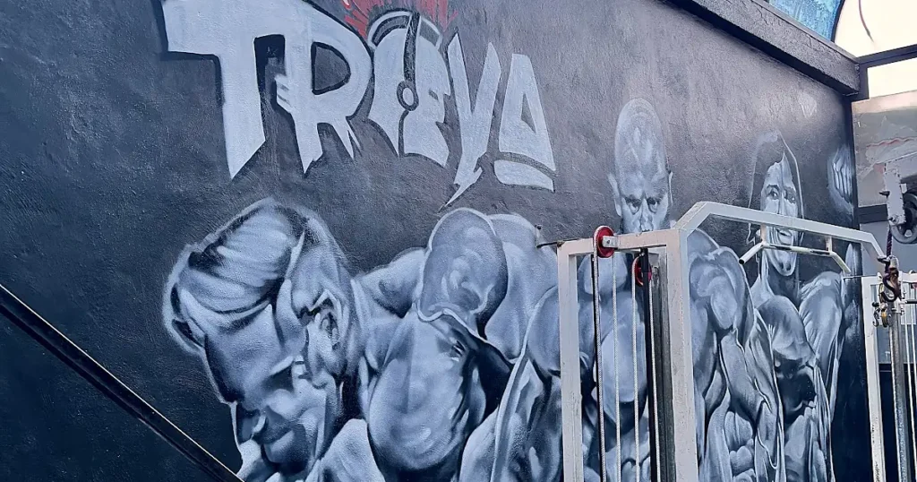 Troya Gym