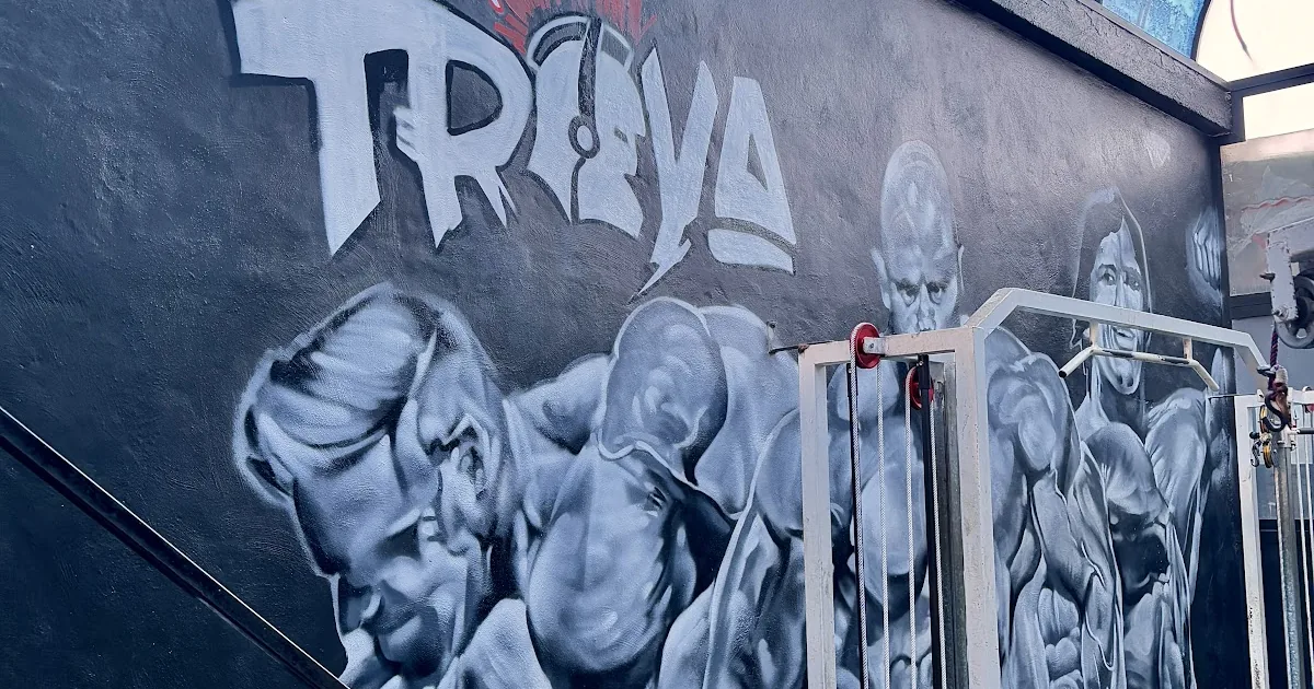 Iron Gym