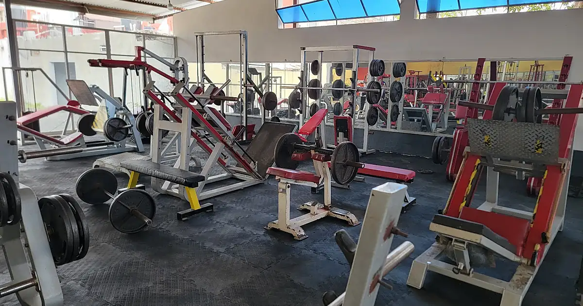 Gym Olympus