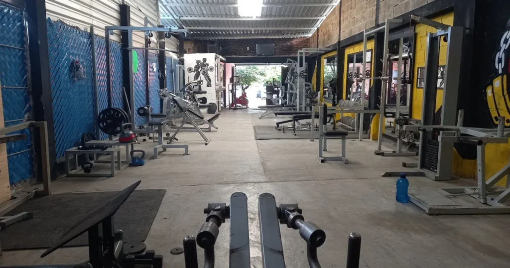 Pit-bull gym