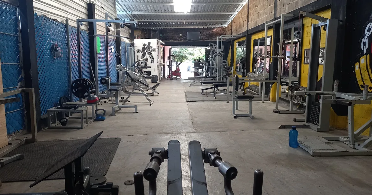 ALFA High Performance Athletes & Community