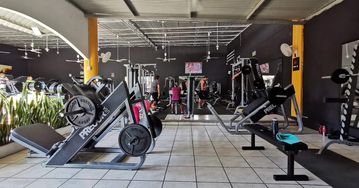 EndeAVor Elite Fitness