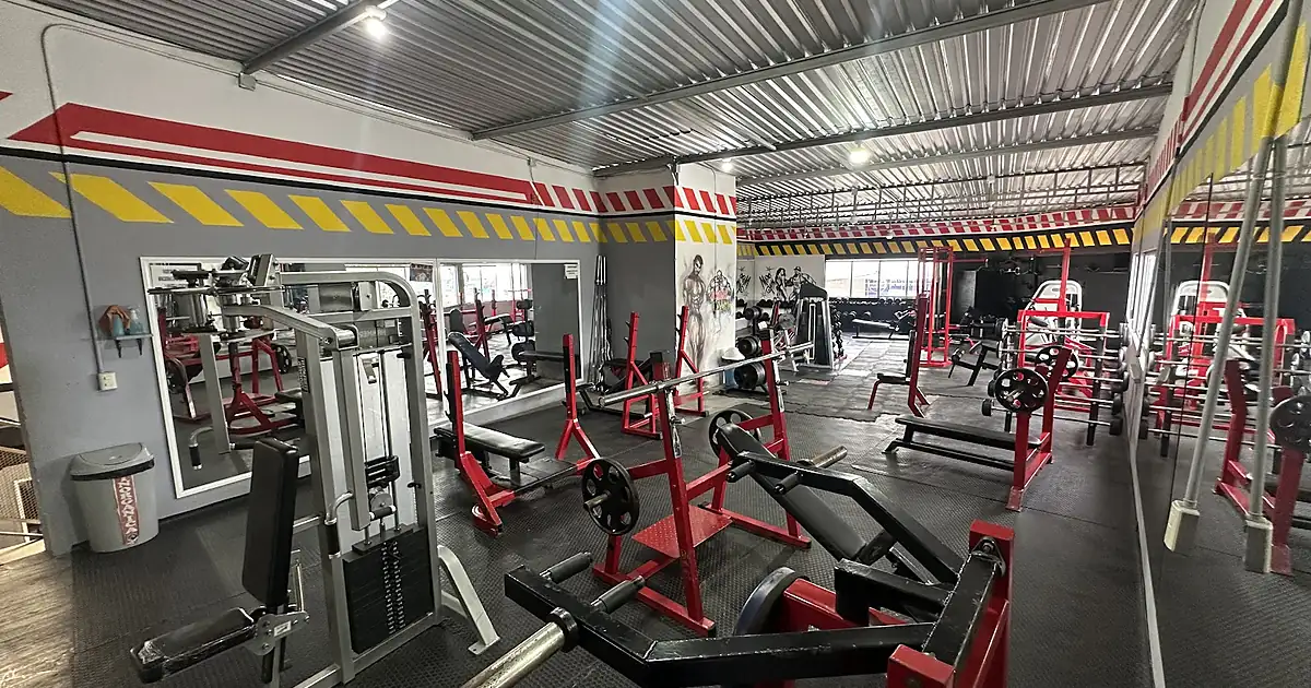 Max Gym