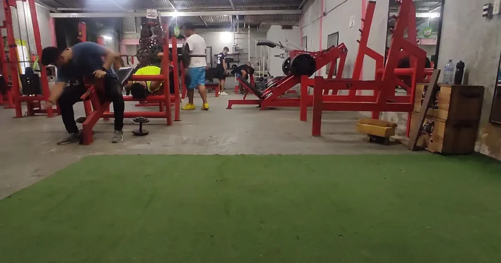 Taurus Gym