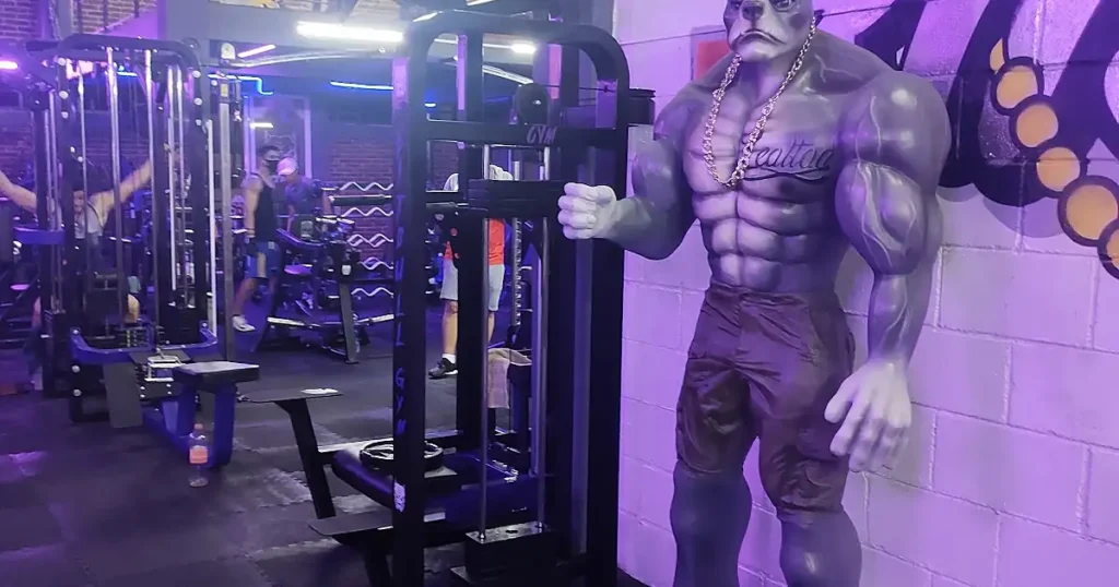 Pitbull Gym