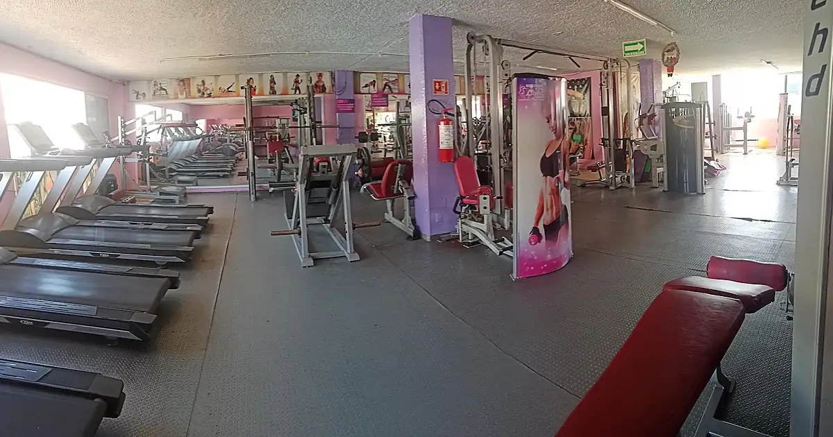 Light Gym