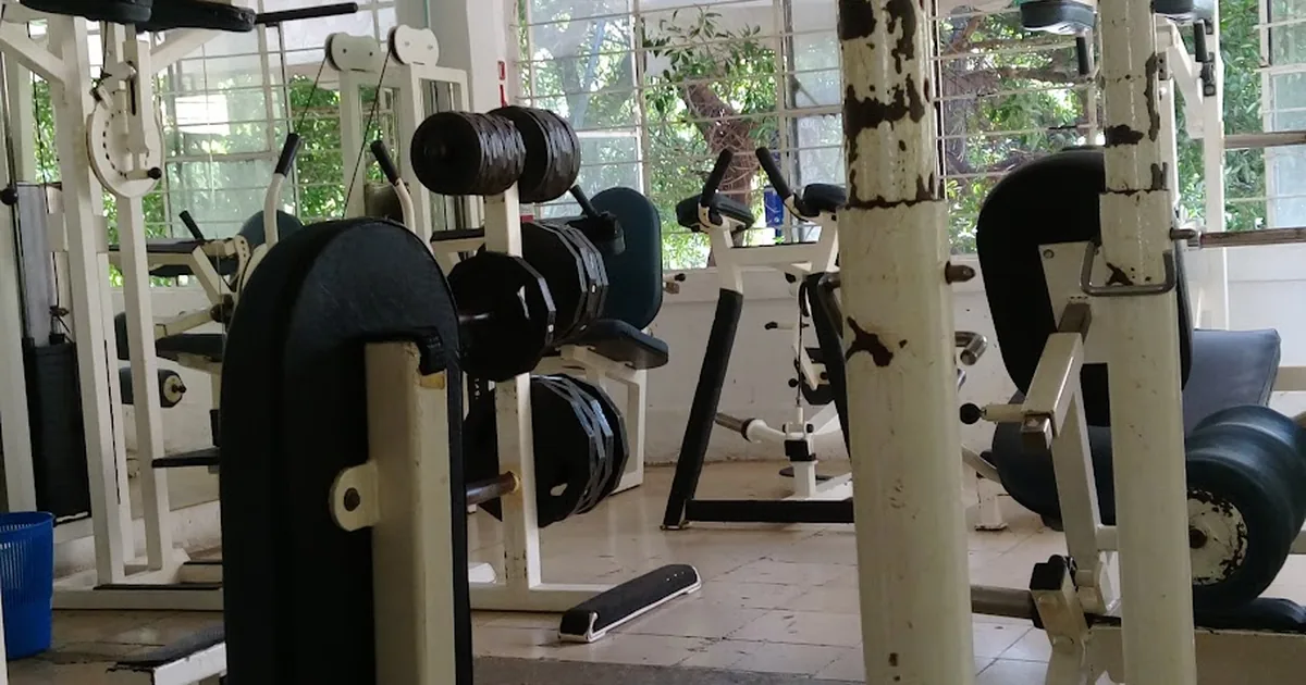 Alex ´ D Gym
