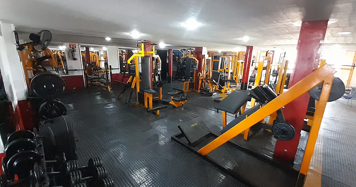 EnerGym