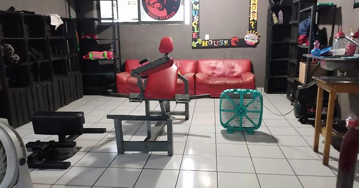 MUSCLE HOUSE