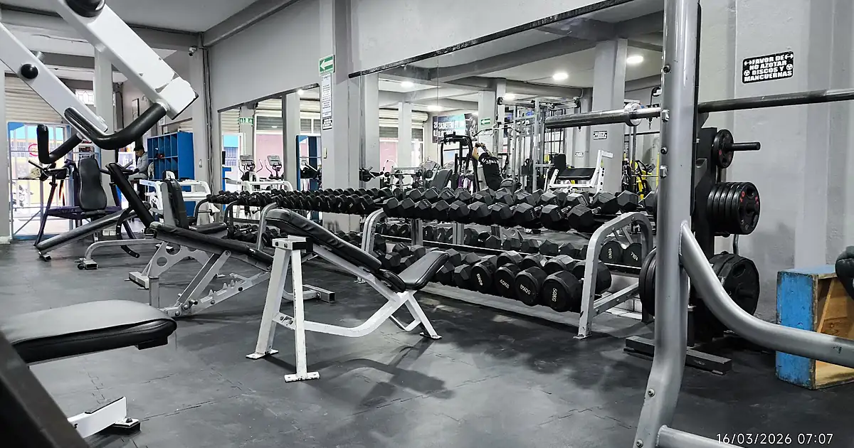 Sport-fit GYM